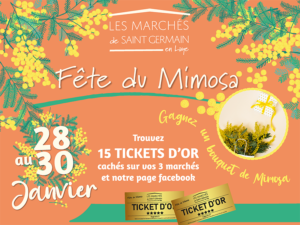 Fête du mimosa